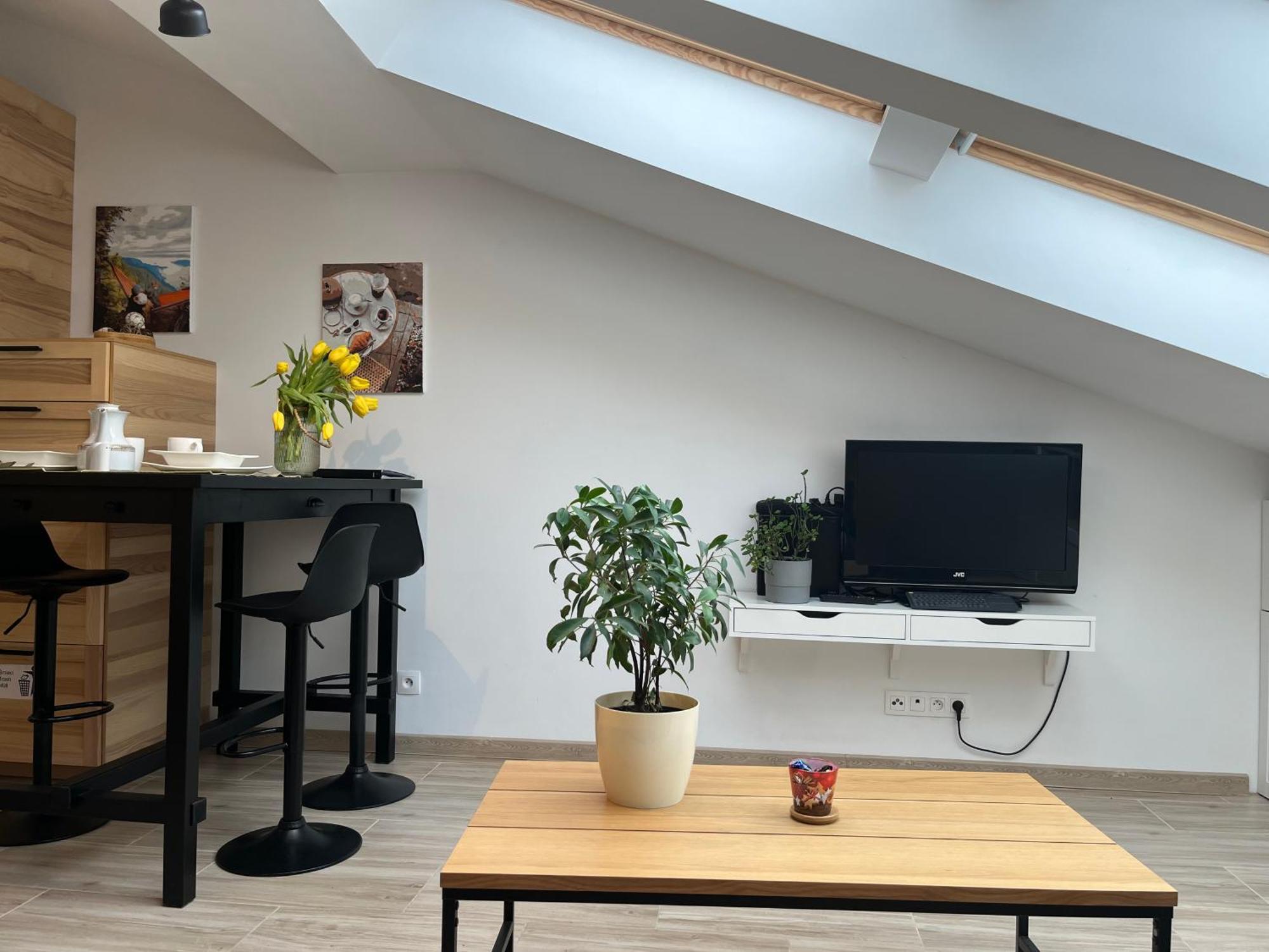 Feelhome With Kitchen Apartment Krakow