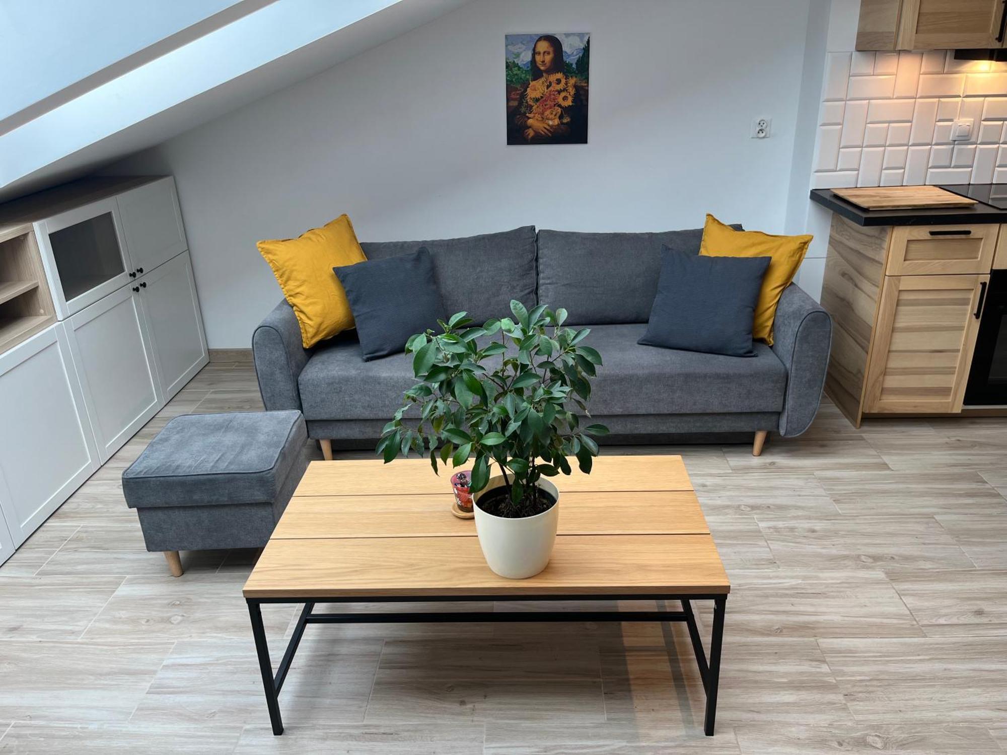 Apartment Feelhome With Kitchen Krakow