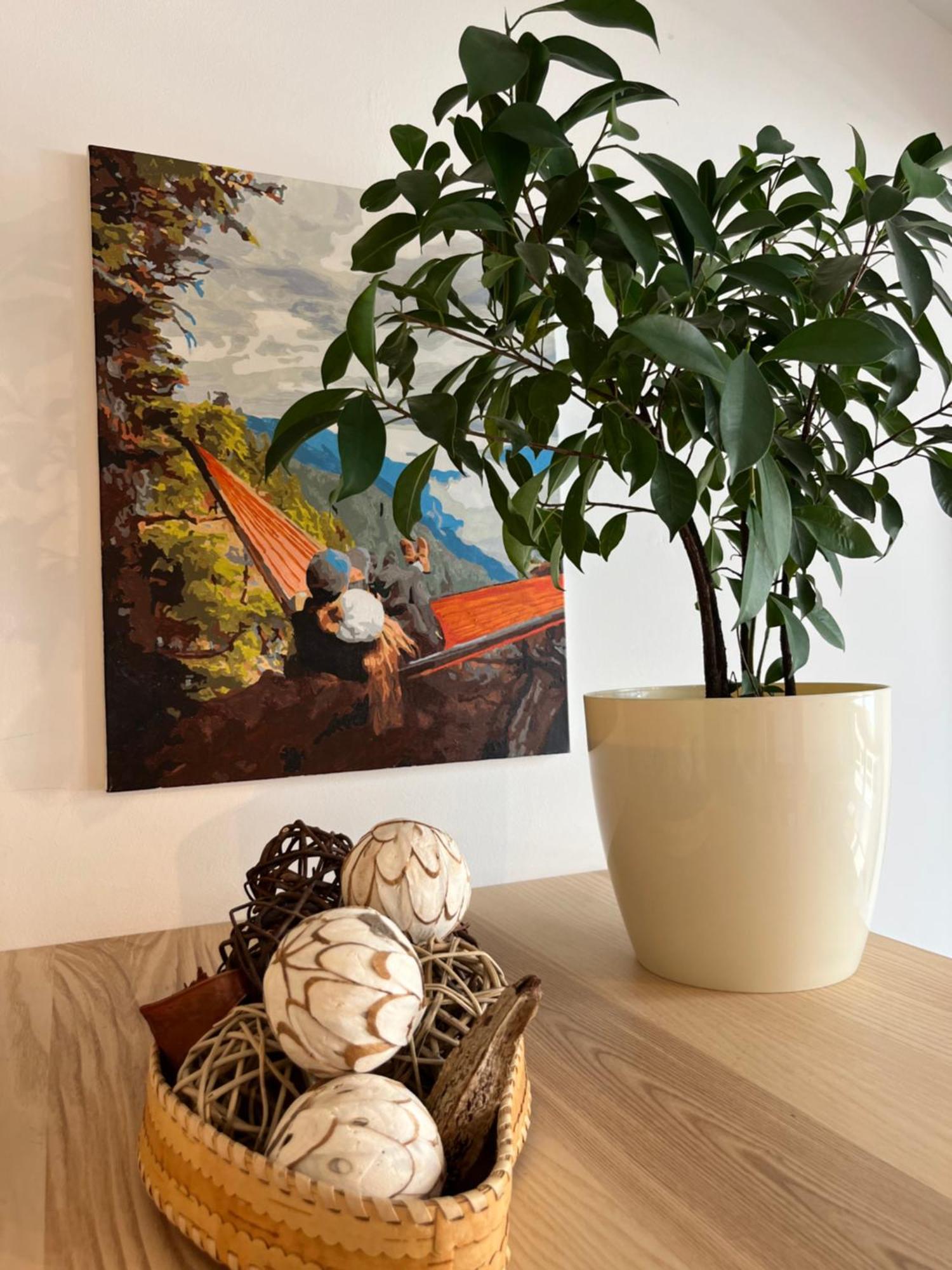 Feelhome With Kitchen Krakow